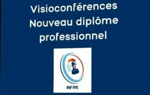 Certificat de Qualification Professionnel CQP Animateurs d'échecs 